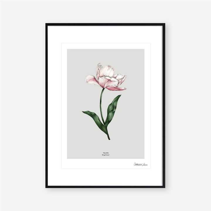 Catherine Lewis Botanical Tulip 'Spring Blossom' Art Print